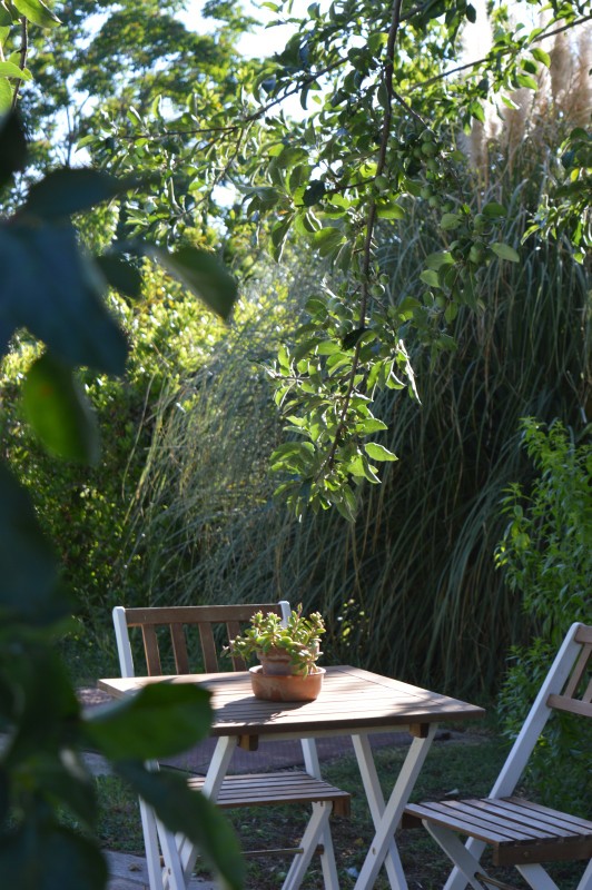 Il giardino e gli spazi esterni curati dell'agriturismo