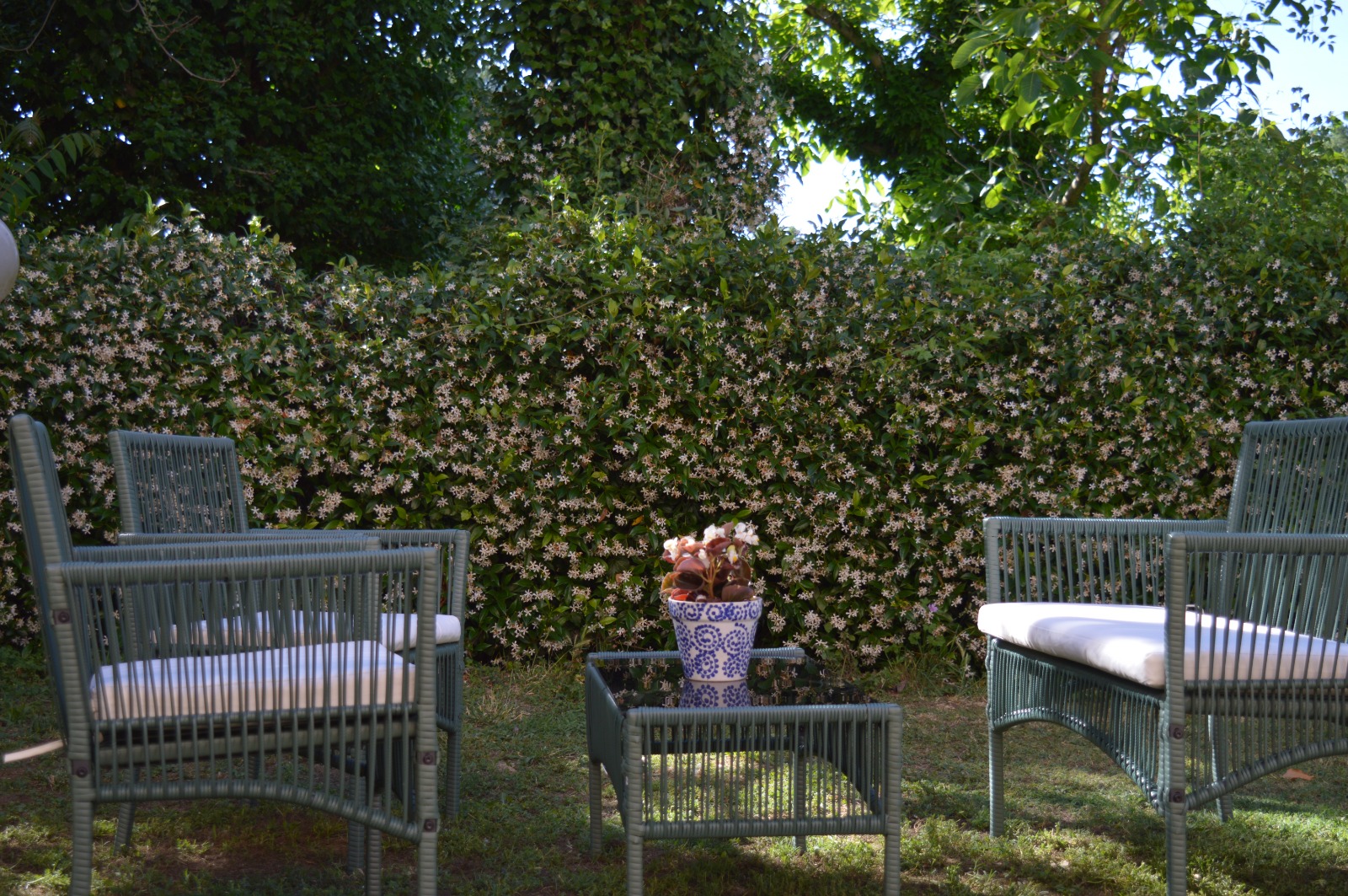 Il Giardino dei Desideri - Vista delle camere dal giardino