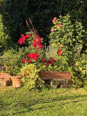 Immagine 8 della galleria dell'Agriturismo Il Giardino dei Desideri