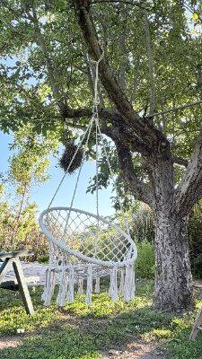 Immagine 5 della galleria dell'Agriturismo Il Giardino dei Desideri