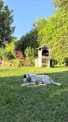 Immagine 10 della galleria dell'Agriturismo Il Giardino dei Desideri