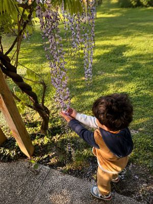 Immagine 1 della galleria dell'Agriturismo Il Giardino dei Desideri
